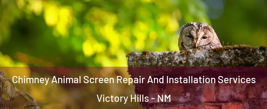 Chimney Animal Screen Repair And Installation Services Victory Hills - NM