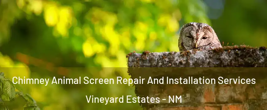 Chimney Animal Screen Repair And Installation Services Vineyard Estates - NM