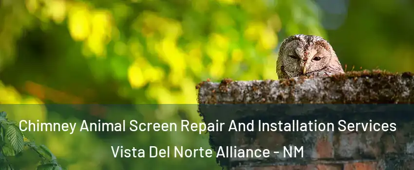 Chimney Animal Screen Repair And Installation Services Vista Del Norte Alliance - NM