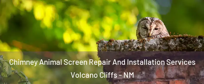 Chimney Animal Screen Repair And Installation Services Volcano Cliffs - NM