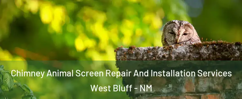 Chimney Animal Screen Repair And Installation Services West Bluff - NM