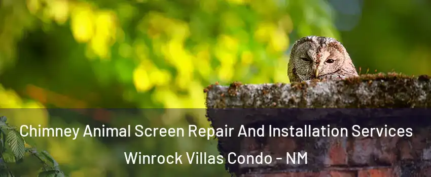 Chimney Animal Screen Repair And Installation Services Winrock Villas Condo - NM
