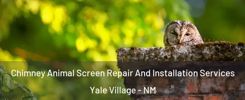 Chimney Animal Screen Repair And Installation Services Yale Village - NM