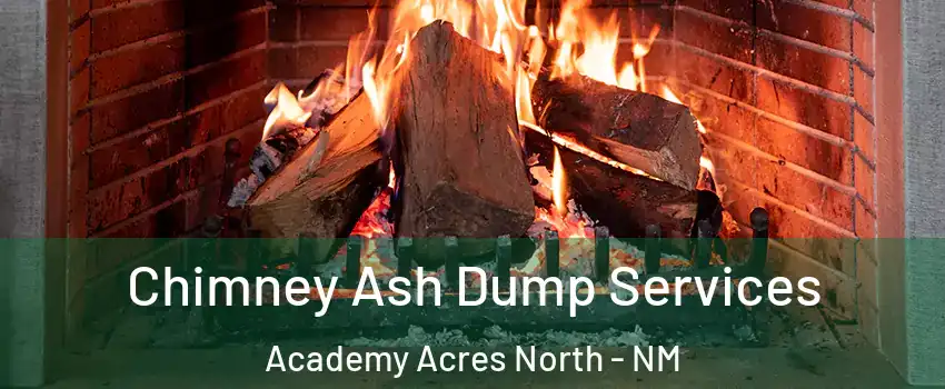 Chimney Ash Dump Services Academy Acres North - NM
