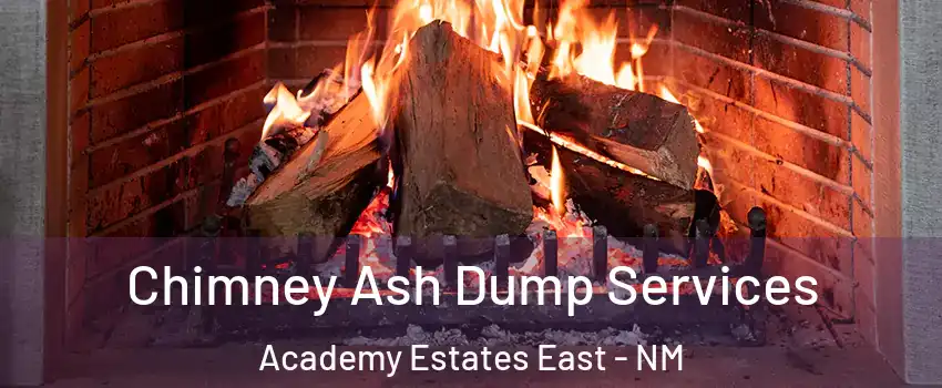 Chimney Ash Dump Services Academy Estates East - NM