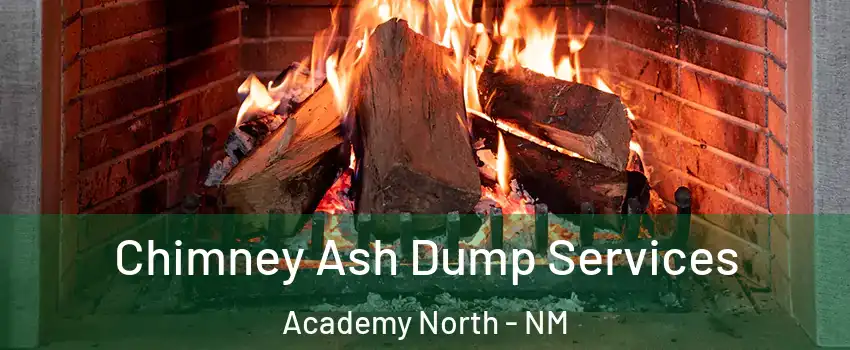 Chimney Ash Dump Services Academy North - NM