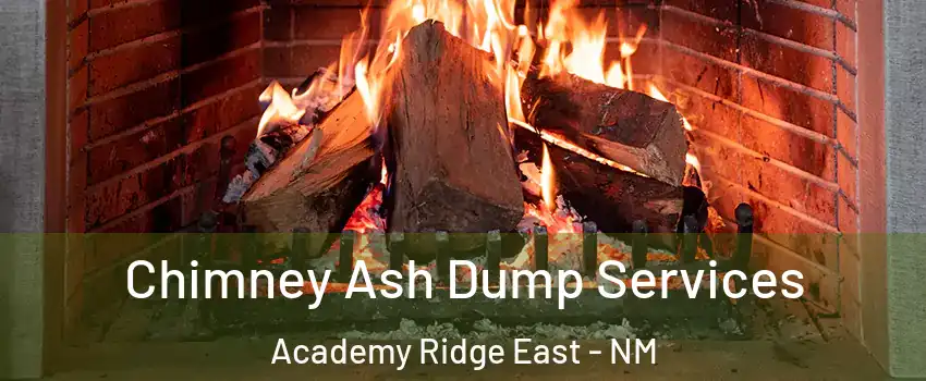 Chimney Ash Dump Services Academy Ridge East - NM