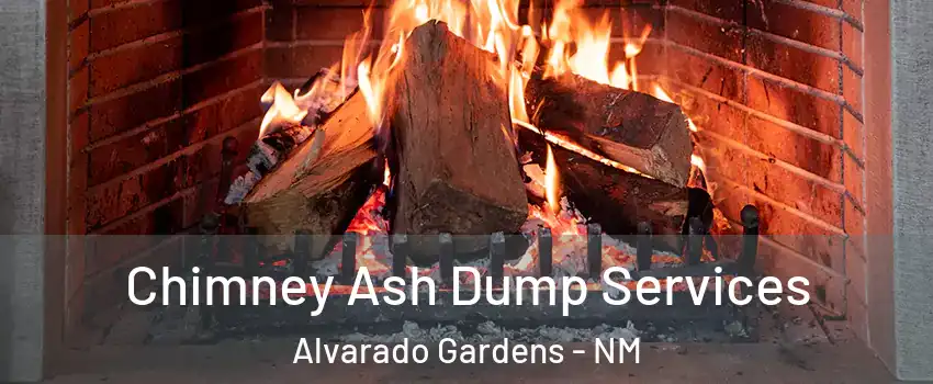 Chimney Ash Dump Services Alvarado Gardens - NM