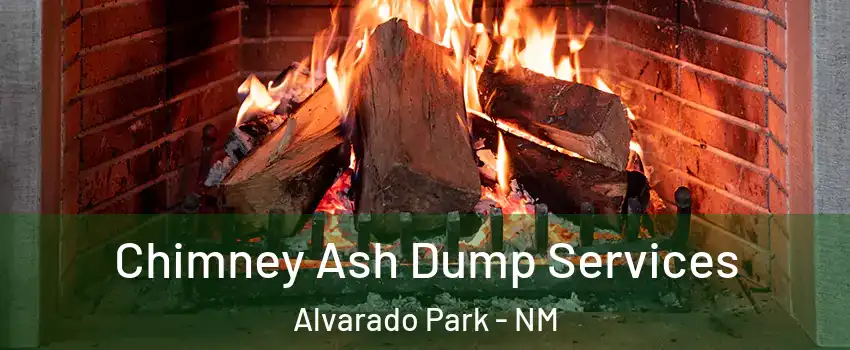 Chimney Ash Dump Services Alvarado Park - NM