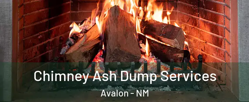 Chimney Ash Dump Services Avalon - NM