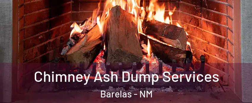 Chimney Ash Dump Services Barelas - NM