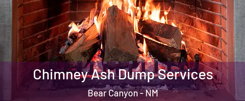 Chimney Ash Dump Services Bear Canyon - NM