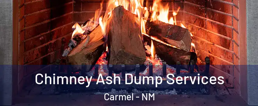 Chimney Ash Dump Services Carmel - NM