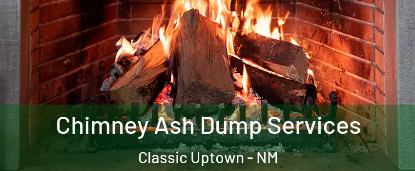 Chimney Ash Dump Services Classic Uptown - NM