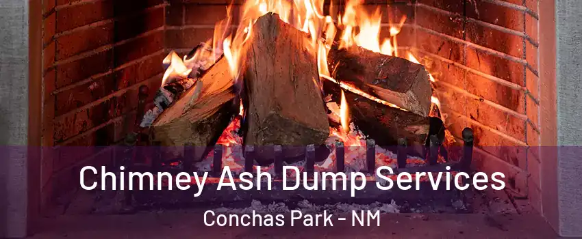 Chimney Ash Dump Services Conchas Park - NM