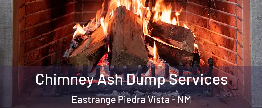 Chimney Ash Dump Services Eastrange Piedra Vista - NM