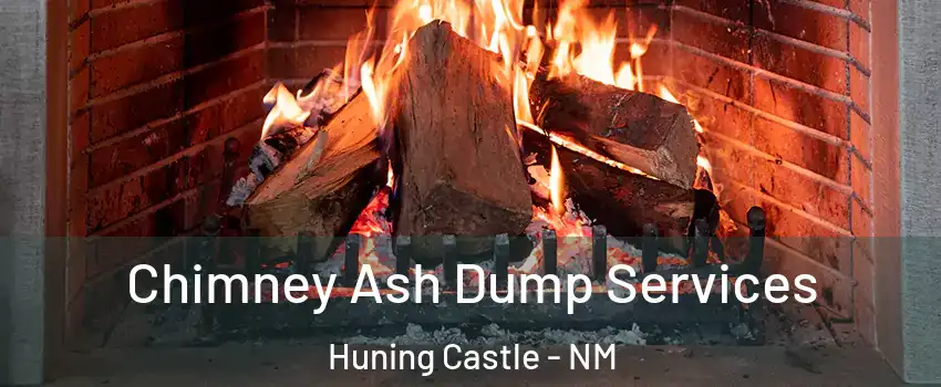 Chimney Ash Dump Services Huning Castle - NM