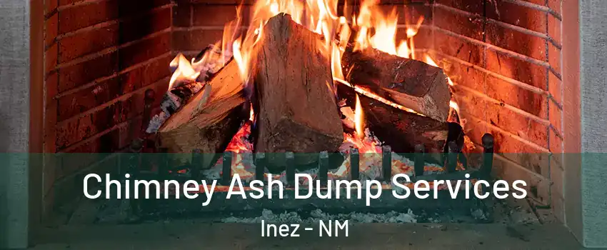 Chimney Ash Dump Services Inez - NM