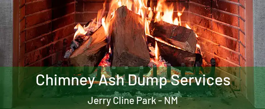Chimney Ash Dump Services Jerry Cline Park - NM