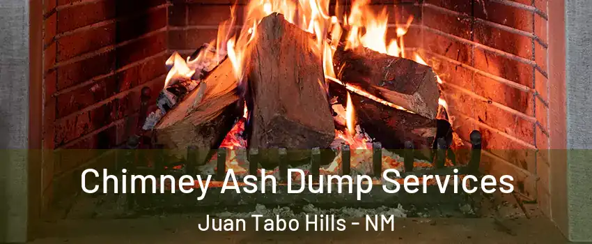 Chimney Ash Dump Services Juan Tabo Hills - NM