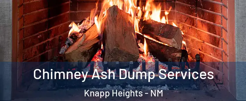 Chimney Ash Dump Services Knapp Heights - NM
