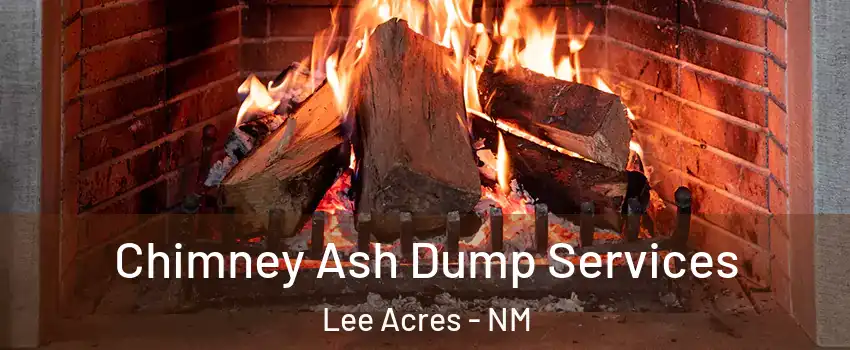 Chimney Ash Dump Services Lee Acres - NM