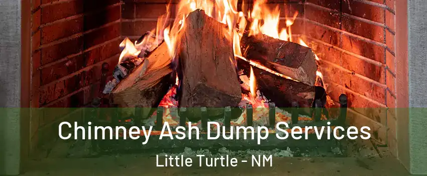 Chimney Ash Dump Services Little Turtle - NM