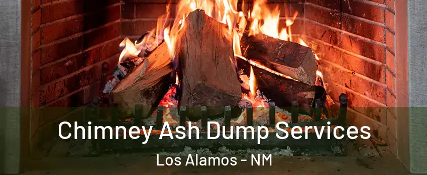 Chimney Ash Dump Services Los Alamos - NM