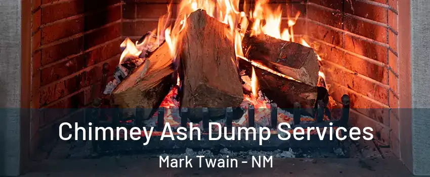 Chimney Ash Dump Services Mark Twain - NM