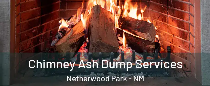 Chimney Ash Dump Services Netherwood Park - NM