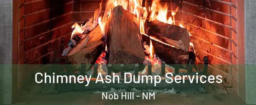Chimney Ash Dump Services Nob Hill - NM
