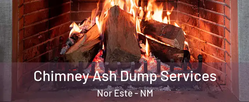 Chimney Ash Dump Services Nor Este - NM