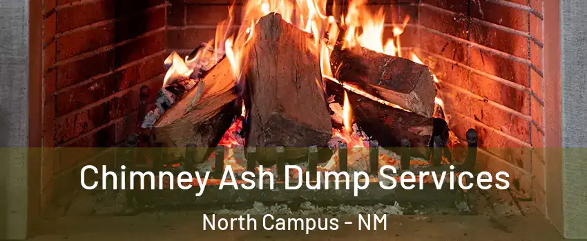 Chimney Ash Dump Services North Campus - NM