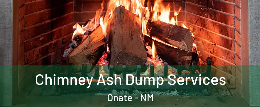 Chimney Ash Dump Services Onate - NM