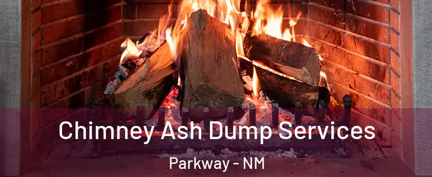 Chimney Ash Dump Services Parkway - NM