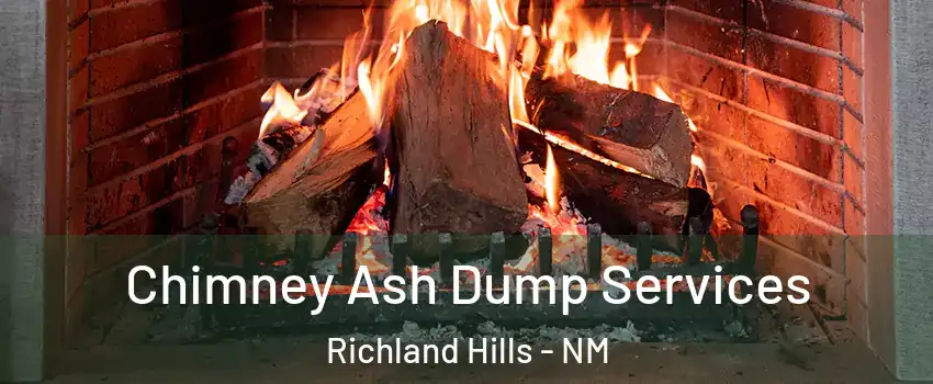 Chimney Ash Dump Services Richland Hills - NM
