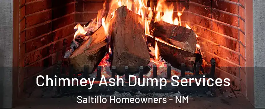 Chimney Ash Dump Services Saltillo Homeowners - NM