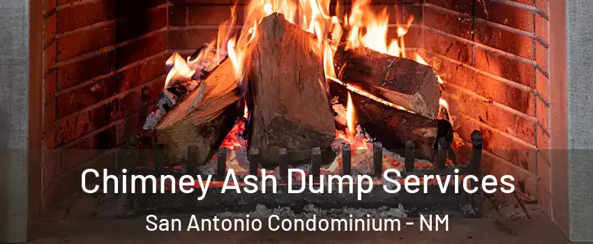 Chimney Ash Dump Services San Antonio Condominium - NM