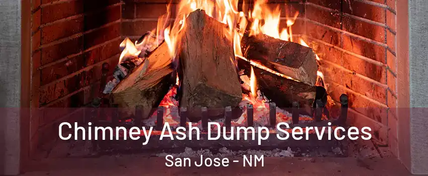 Chimney Ash Dump Services San Jose - NM