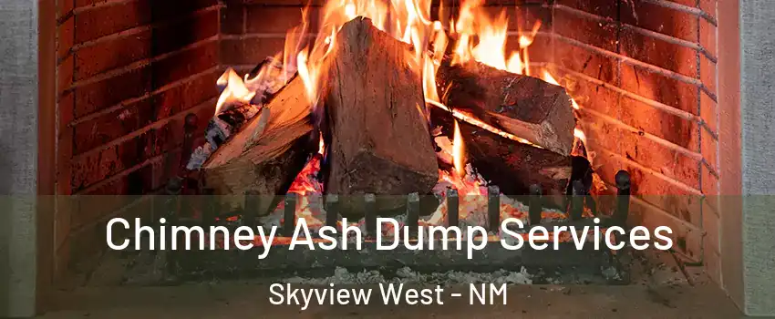 Chimney Ash Dump Services Skyview West - NM