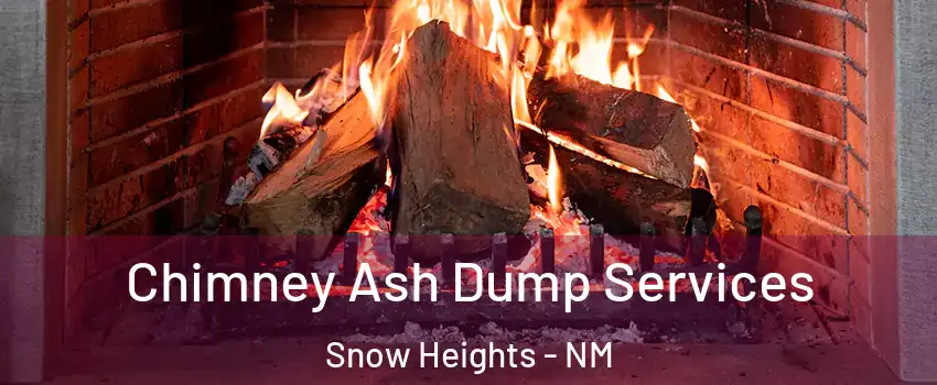 Chimney Ash Dump Services Snow Heights - NM