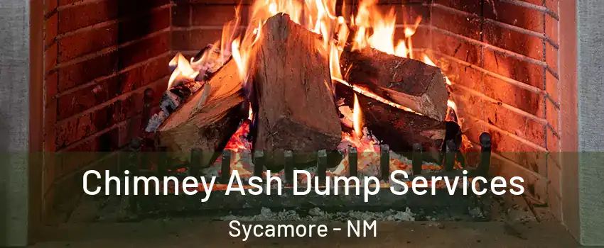 Chimney Ash Dump Services Sycamore - NM