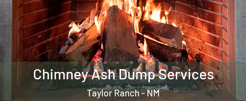 Chimney Ash Dump Services Taylor Ranch - NM
