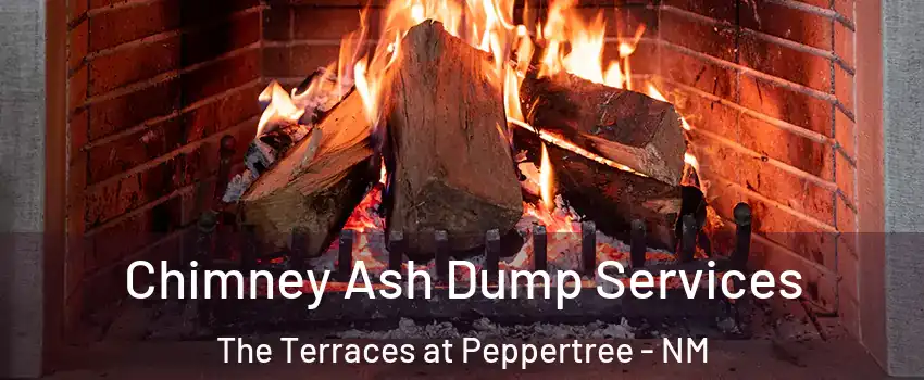 Chimney Ash Dump Services The Terraces at Peppertree - NM