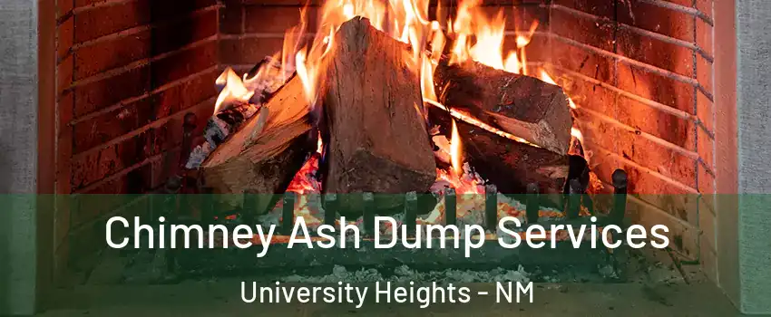 Chimney Ash Dump Services University Heights - NM