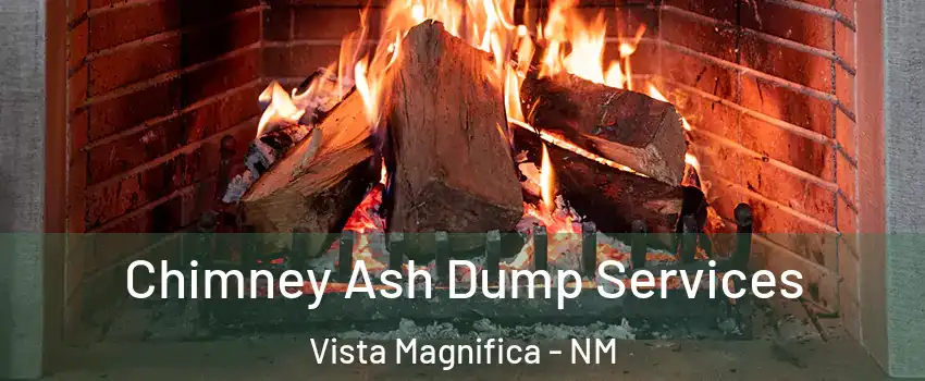 Chimney Ash Dump Services Vista Magnifica - NM