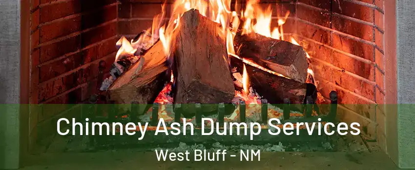 Chimney Ash Dump Services West Bluff - NM