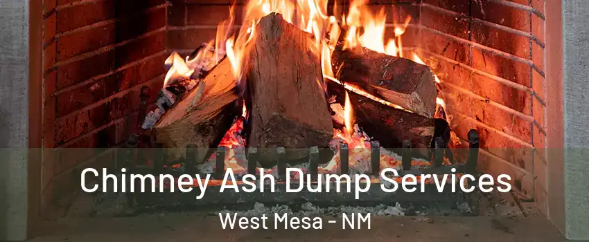 Chimney Ash Dump Services West Mesa - NM