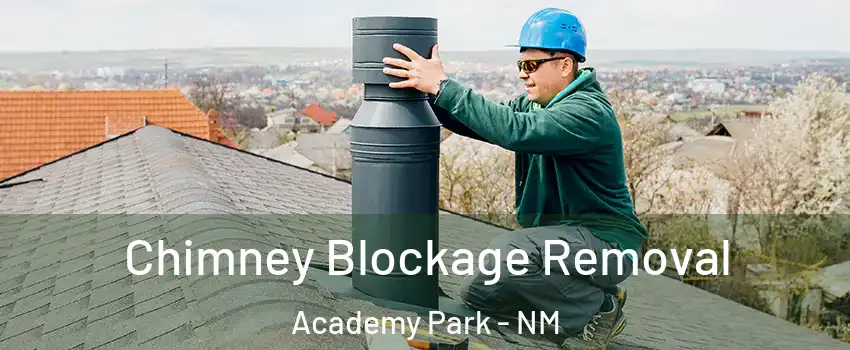Chimney Blockage Removal Academy Park - NM