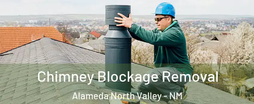 Chimney Blockage Removal Alameda North Valley - NM